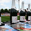 14.5.2011 FC Rot-Weiss Erfurt - VfR Aalen 1-0_19
